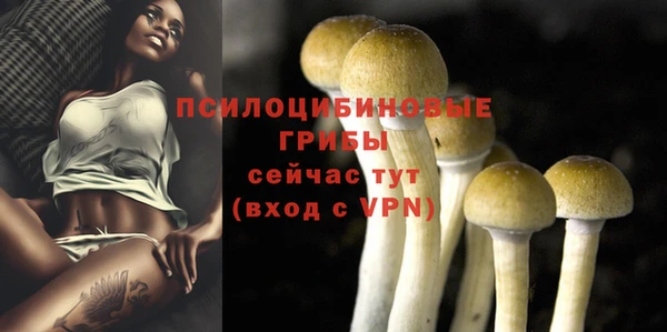 MDMA Premium VHQ Няндома