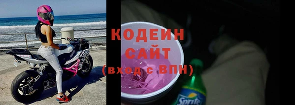 молекула духа Осташков