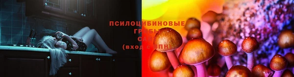 MESCALINE Новокубанск