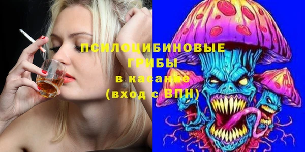 тгк Болхов