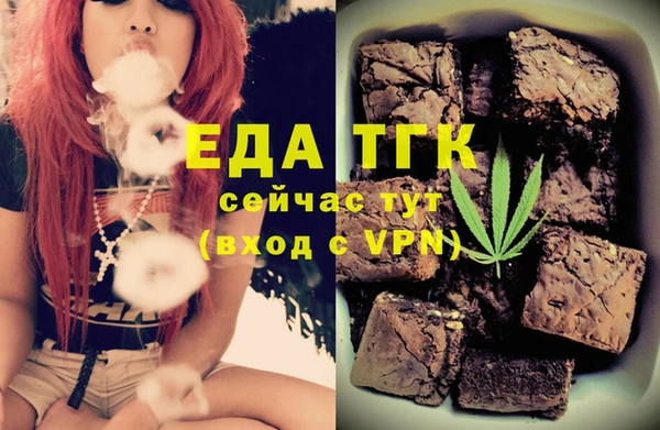 дживик Гатчина