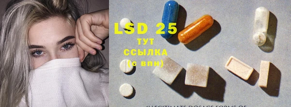 крисы Болотное
