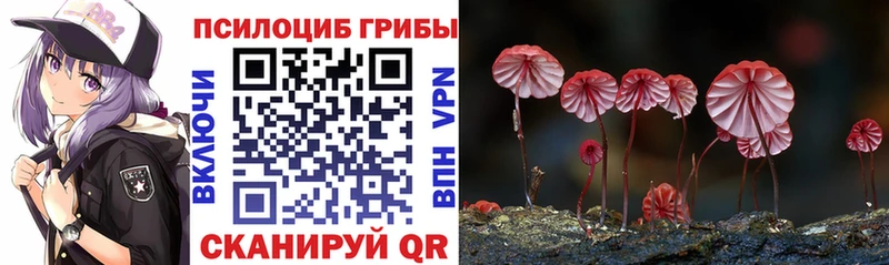 MEGA рабочий сайт  Медынь  Псилоцибиновые грибы GOLDEN TEACHER  купить закладку 